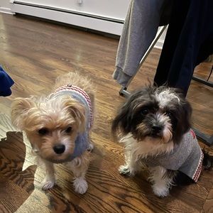 Meet your Posher, Sandra